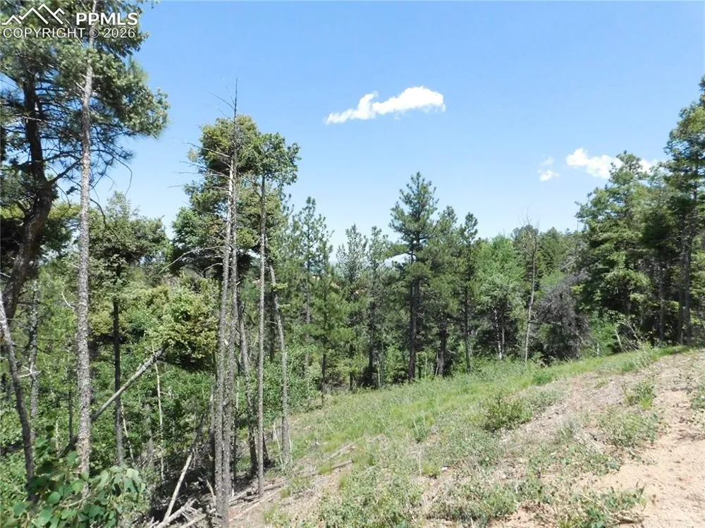 13670 Spruce Creek Circle Larkspur, CO 80118