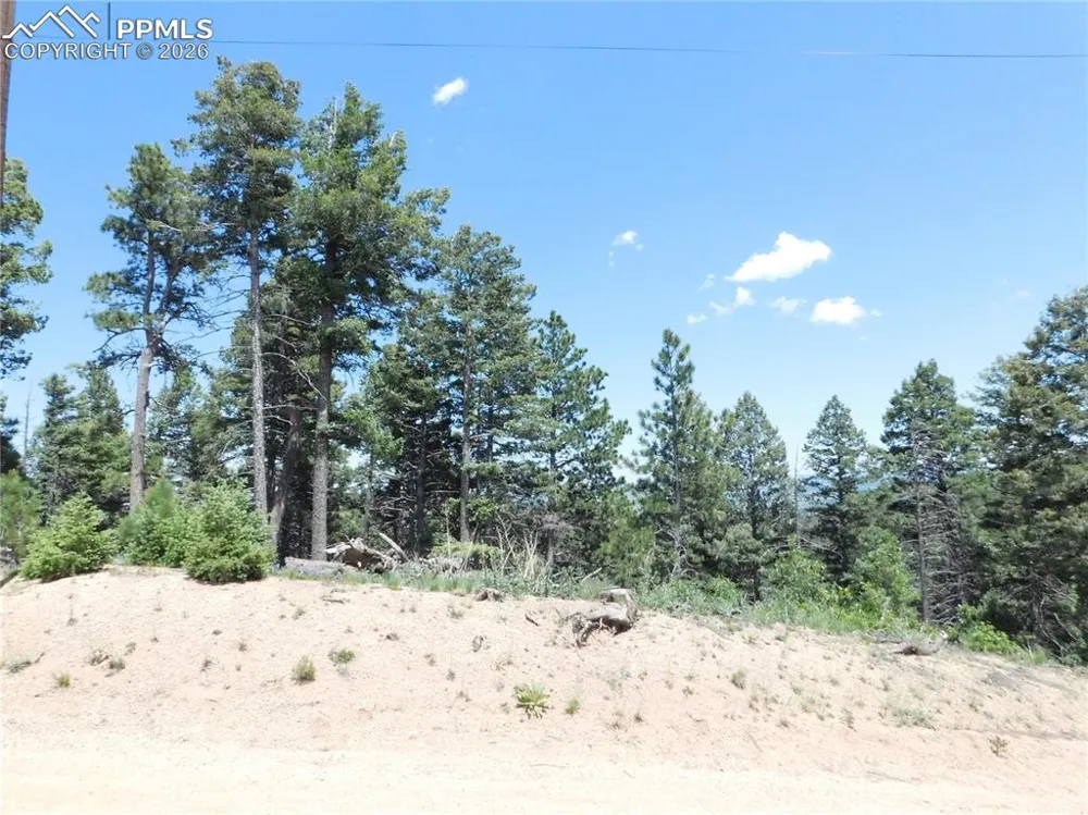 13670 Spruce Creek Circle Larkspur, CO 80118