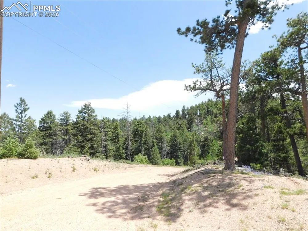 13670 Spruce Creek Circle Larkspur, CO 80118