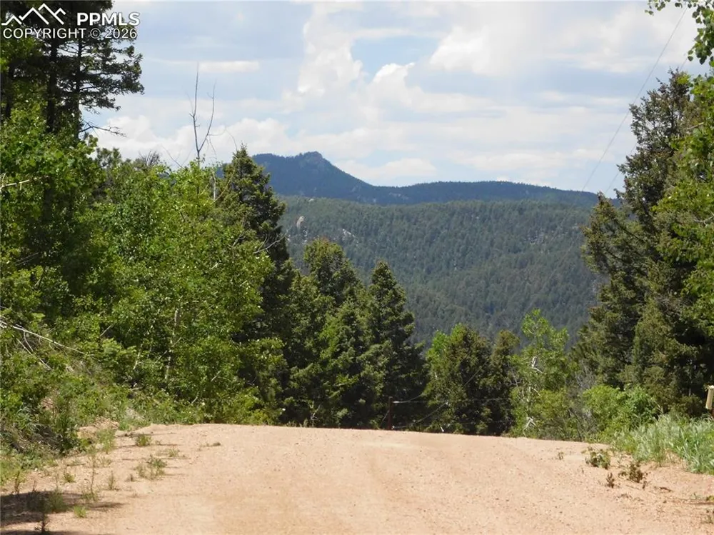13670 Spruce Creek Circle Larkspur, CO 80118