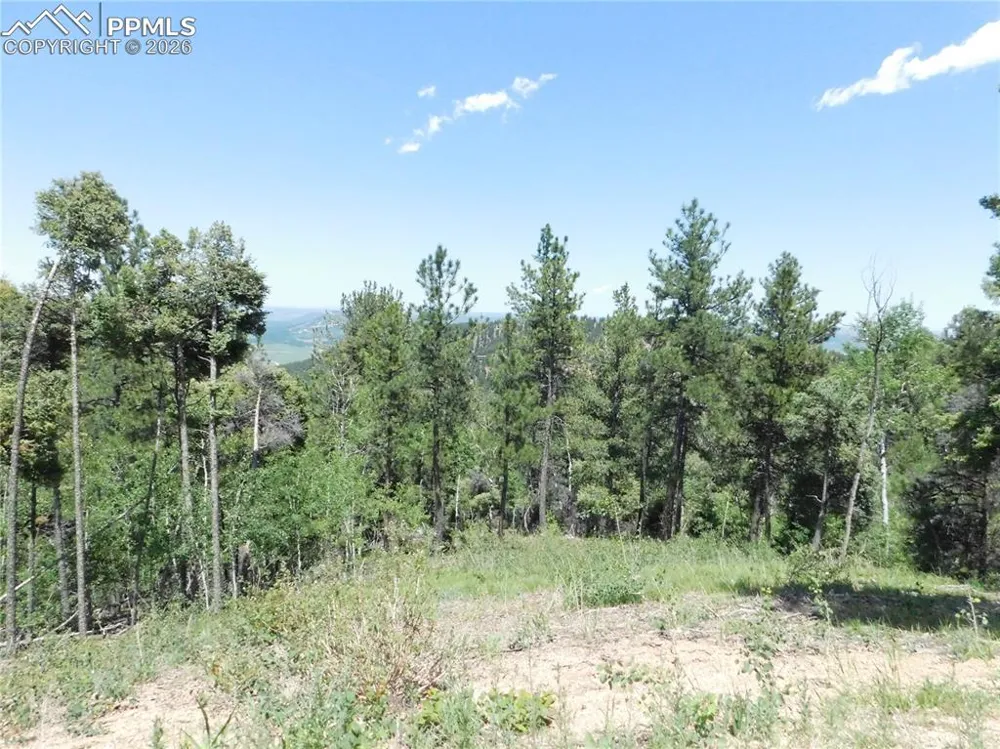 13670 Spruce Creek Circle Larkspur, CO 80118