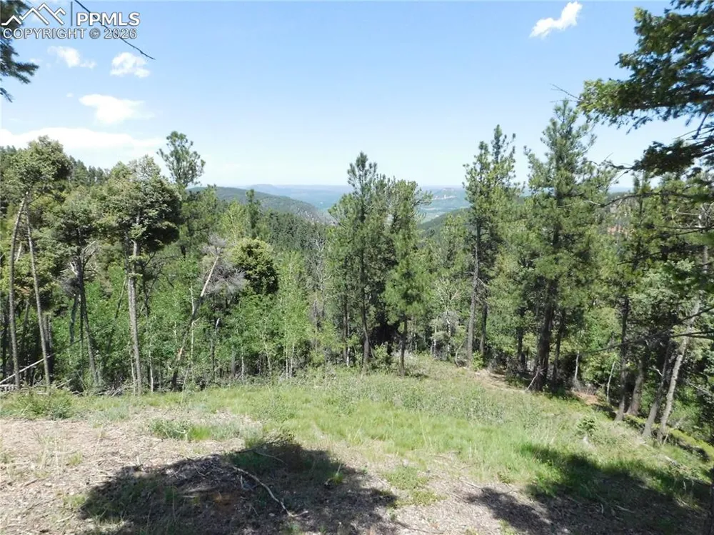 13670 Spruce Creek Circle Larkspur, CO 80118