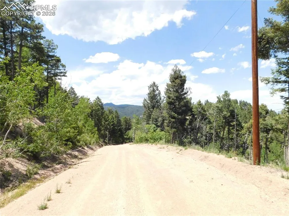 13670 Spruce Creek Circle Larkspur, CO 80118