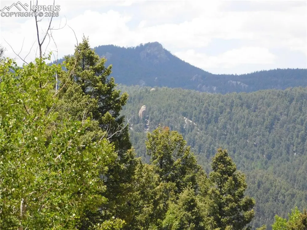 13670 Spruce Creek Circle Larkspur, CO 80118