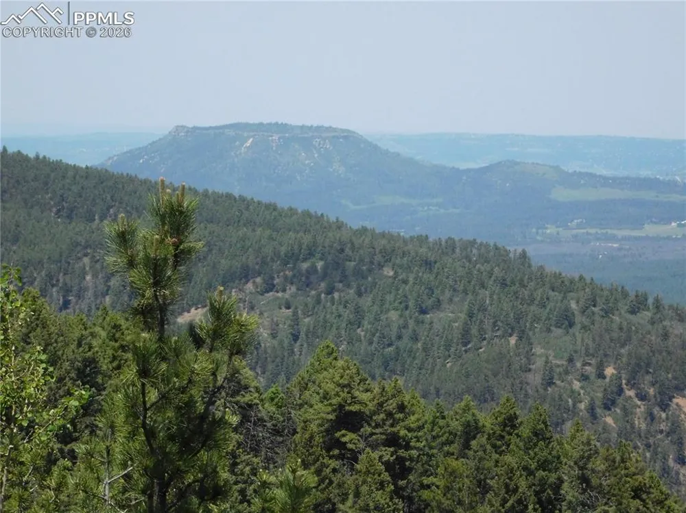 13670 Spruce Creek Circle Larkspur, CO 80118