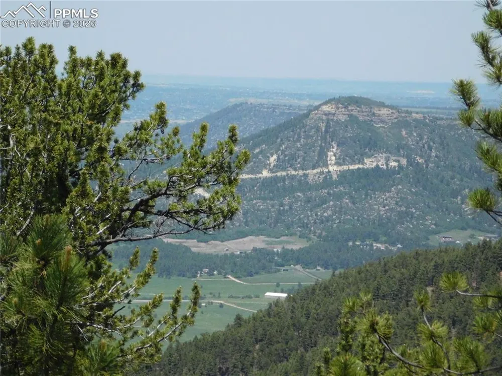 13670 Spruce Creek Circle Larkspur, CO 80118