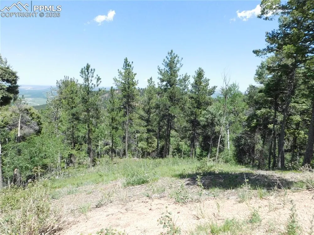 13670 Spruce Creek Circle Larkspur, CO 80118