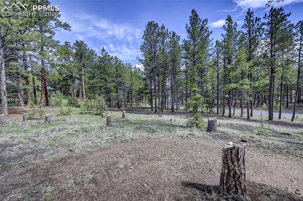 1396 Roberts Ranch Road Woodland Park, CO 80863