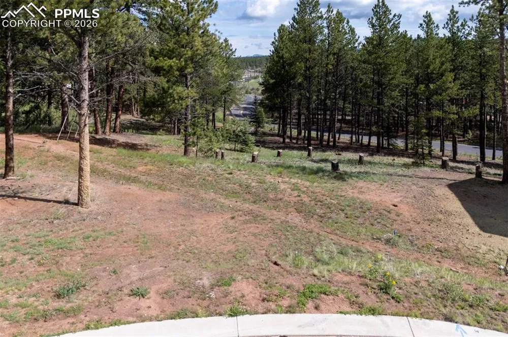 1396 Roberts Ranch Road Woodland Park, CO 80863