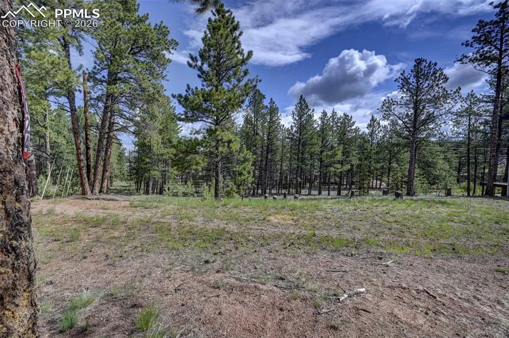 1396 Roberts Ranch Road Woodland Park, CO 80863
