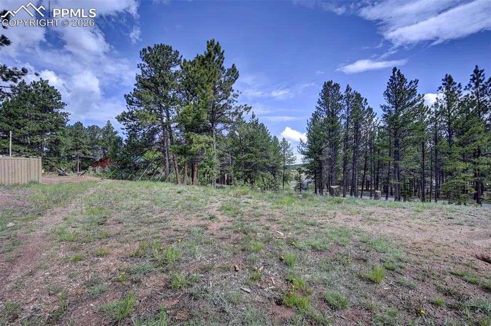 1396 Roberts Ranch Road Woodland Park, CO 80863