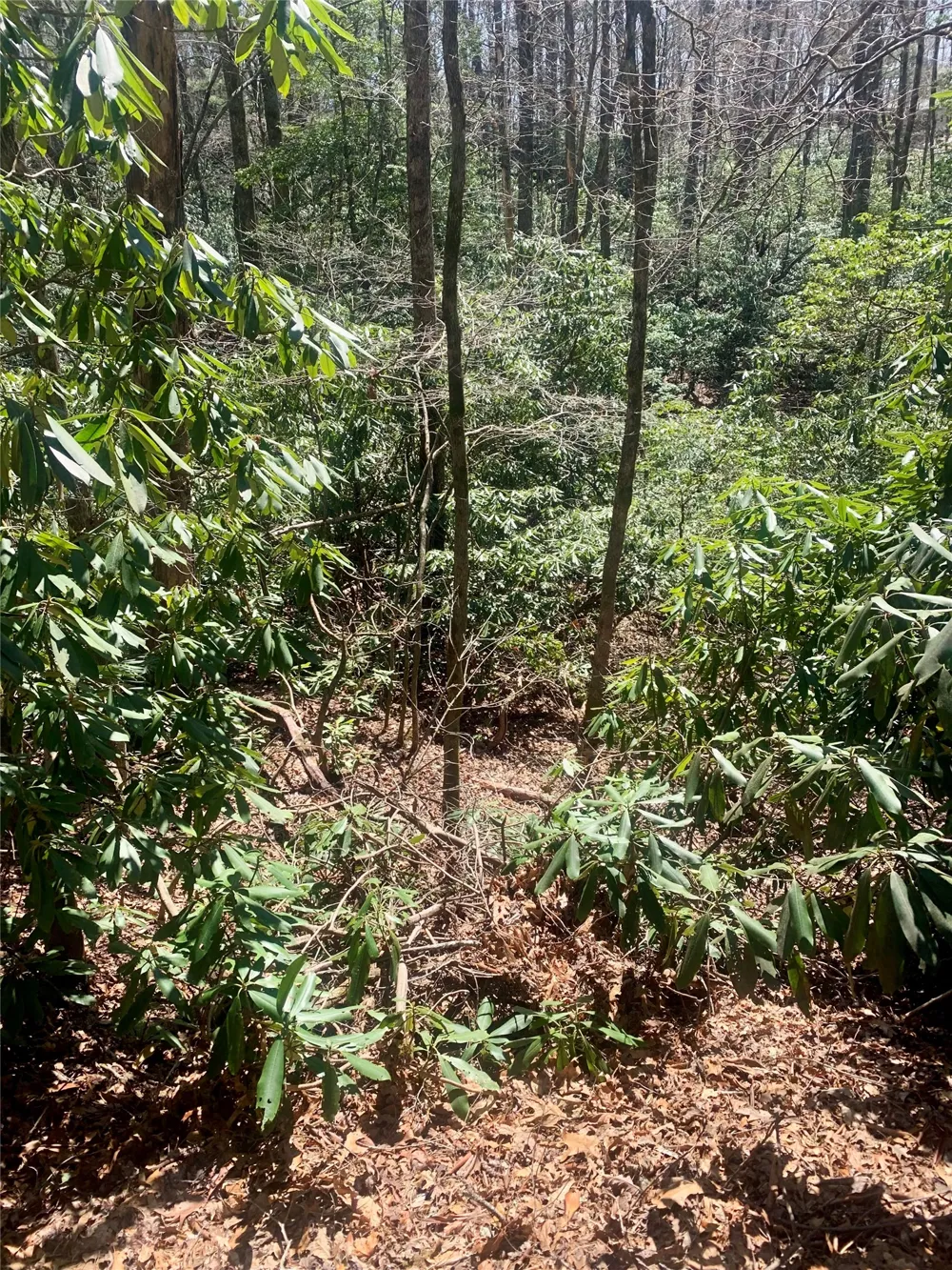 Lot Indian Lake Road Lake Toxaway, NC 28747