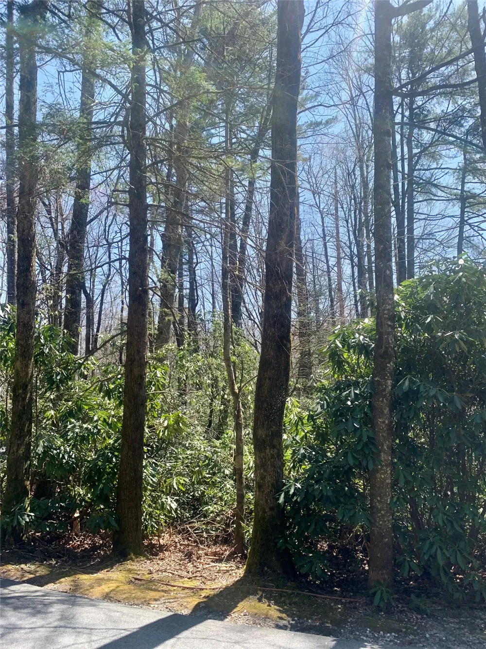 Lot Indian Lake Road Lake Toxaway, NC 28747