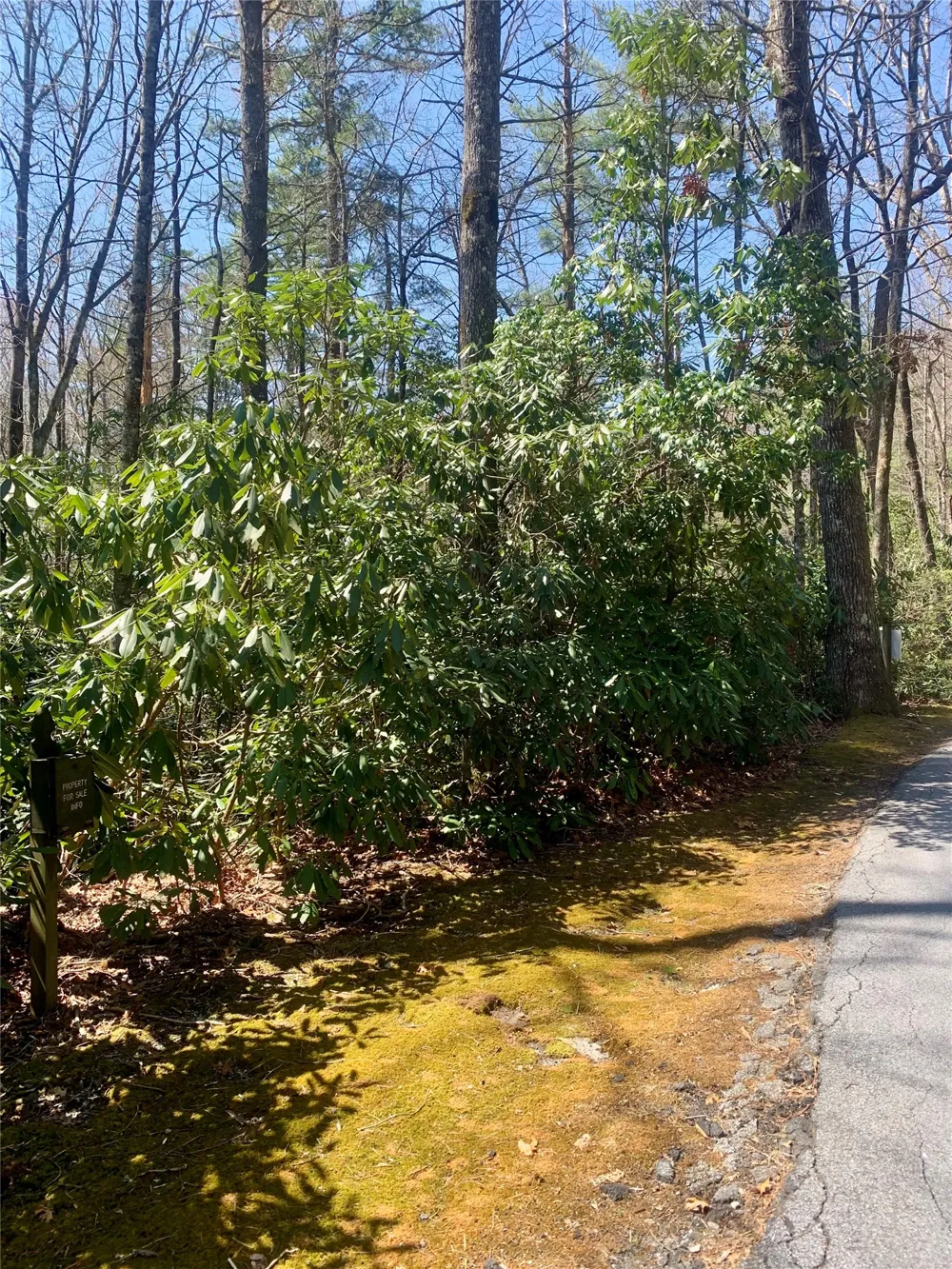 Lot Indian Lake Road Lake Toxaway, NC 28747