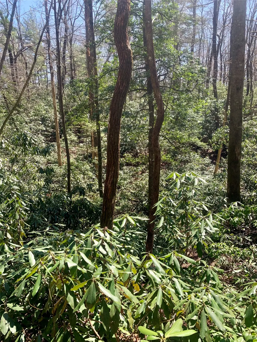 Lot Indian Lake Road Lake Toxaway, NC 28747