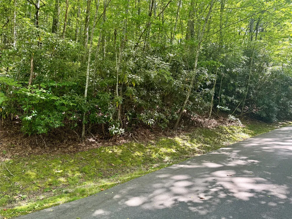 115 Black Oak Drive Sapphire, NC 28774