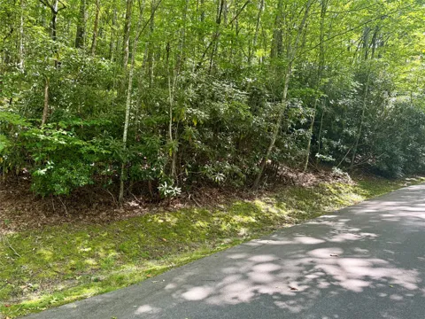 115 Black Oak Drive