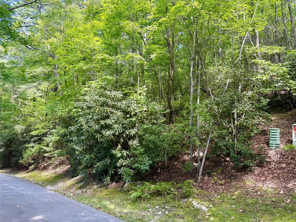 115 Black Oak Drive Sapphire, NC 28774