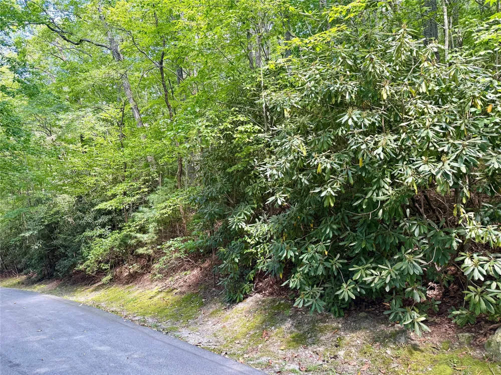 115 Black Oak Drive Sapphire, NC 28774