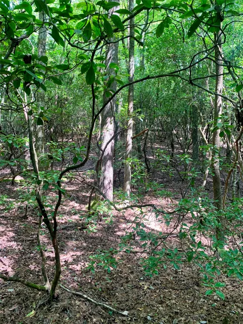 Lot 6 Double Creek Road
