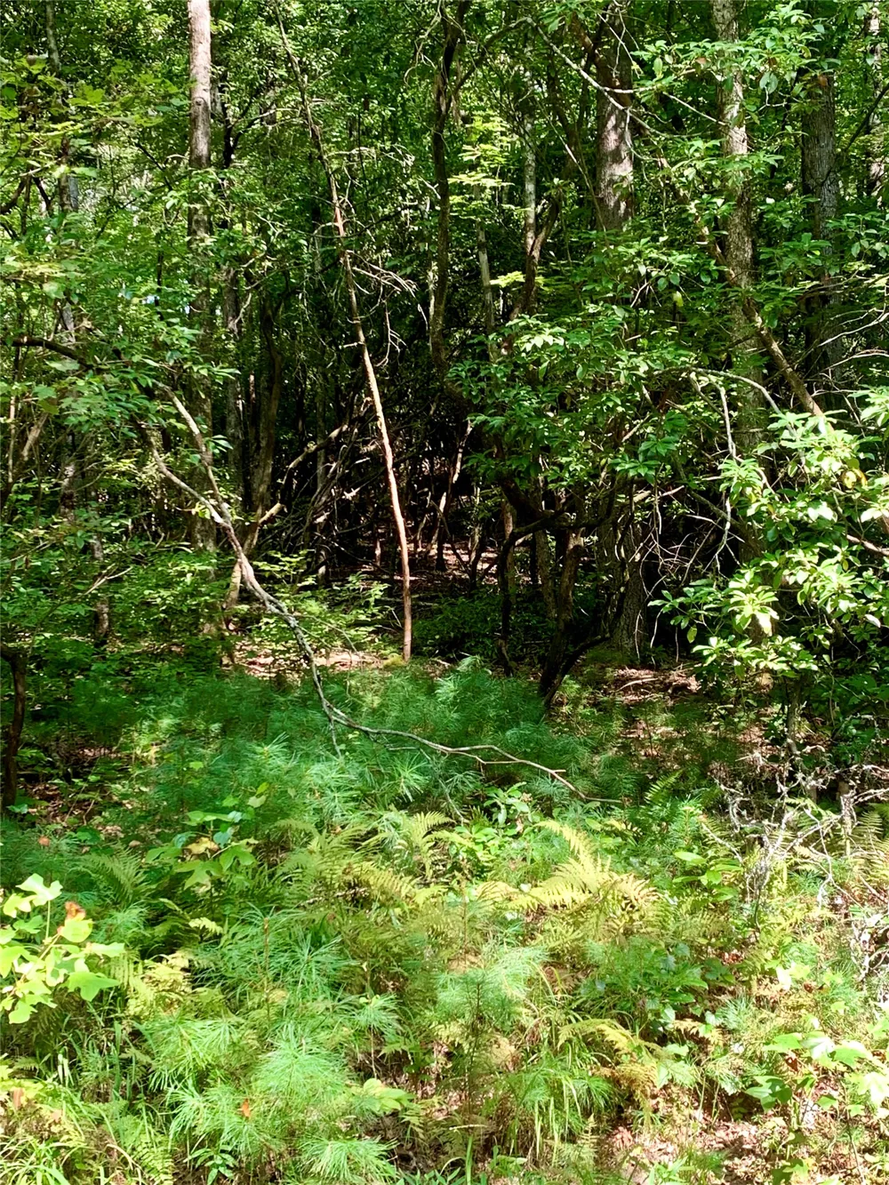 Lot 6 Double Creek Road Brevard, NC 28712
