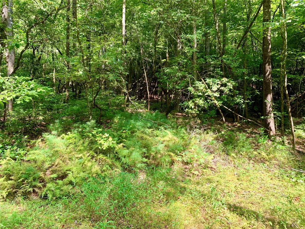 Lot 6 Double Creek Road Brevard, NC 28712