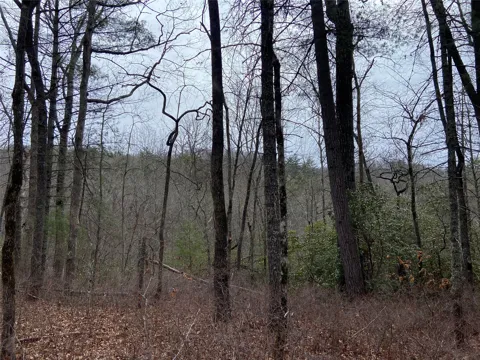 29 Tahala Trail