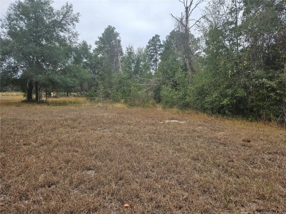 SE HIGHWAY 42 Weirsdale, FL 32195