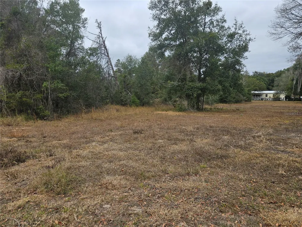 SE HIGHWAY 42 Weirsdale, FL 32195