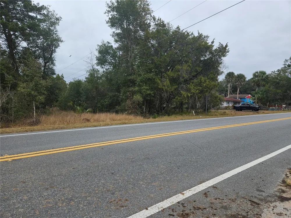 SE HIGHWAY 42 Weirsdale, FL 32195