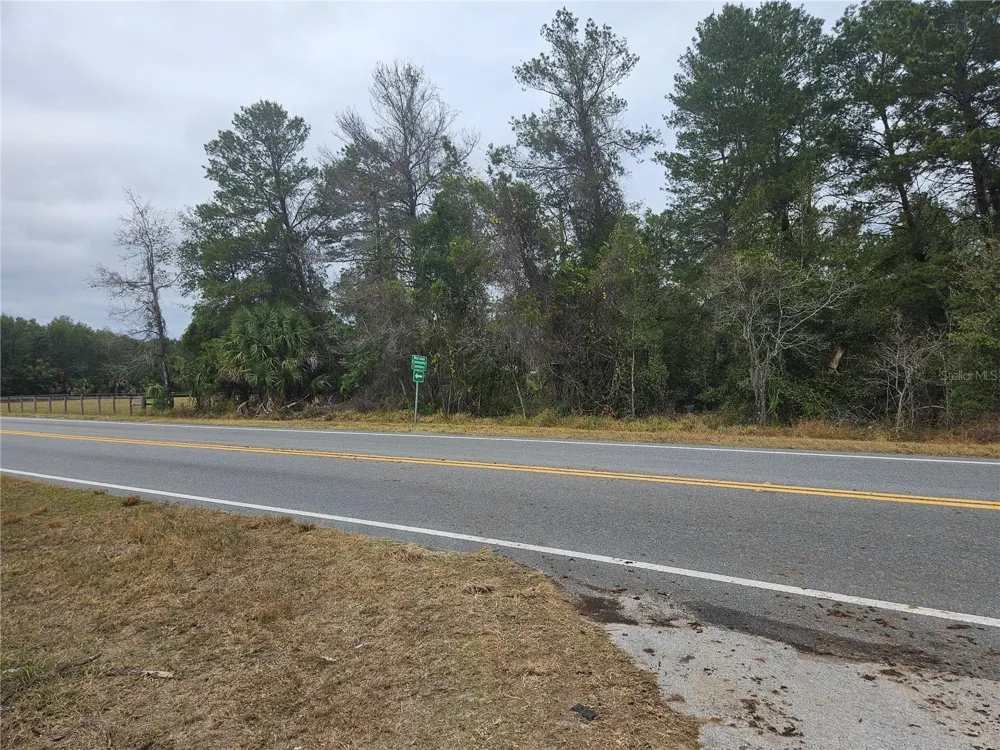 SE HIGHWAY 42 Weirsdale, FL 32195