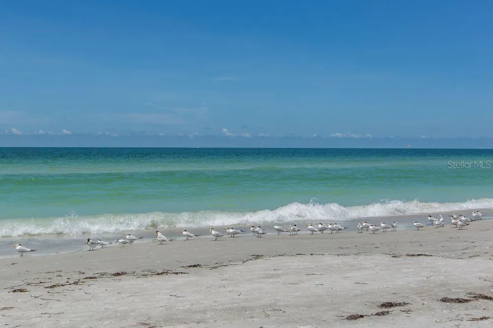 399 2ND STREET #215 Indian Rocks Beach, FL 33785