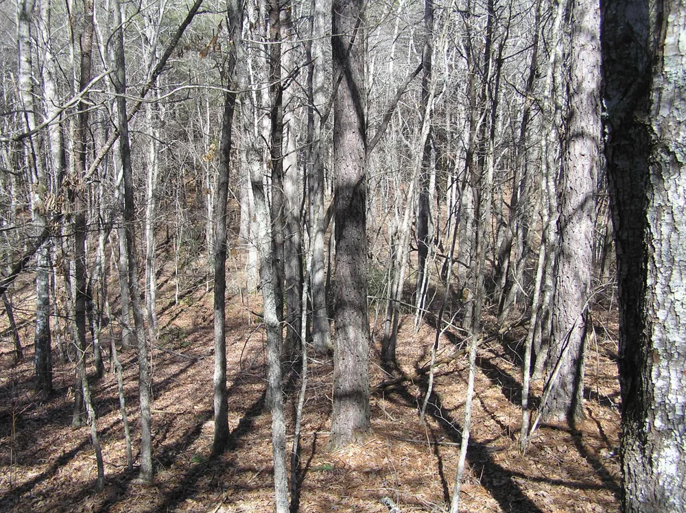 150 Indian Trail Drive Spencer, TN 38585