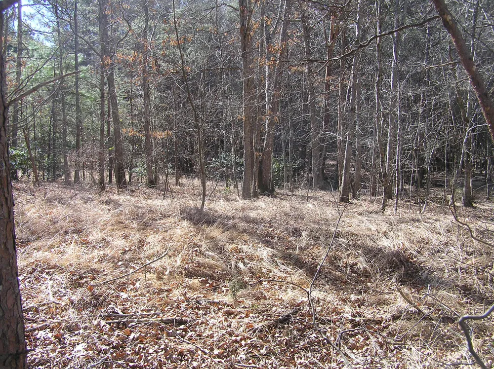 150 Indian Trail Drive Spencer, TN 38585