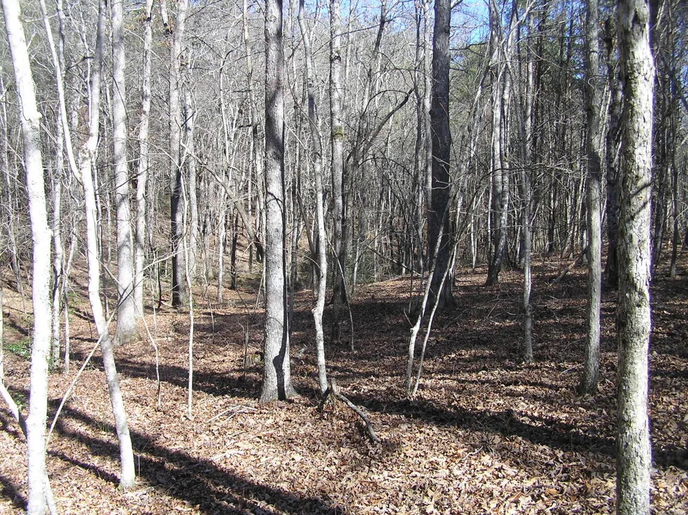 150 Indian Trail Drive Spencer, TN 38585