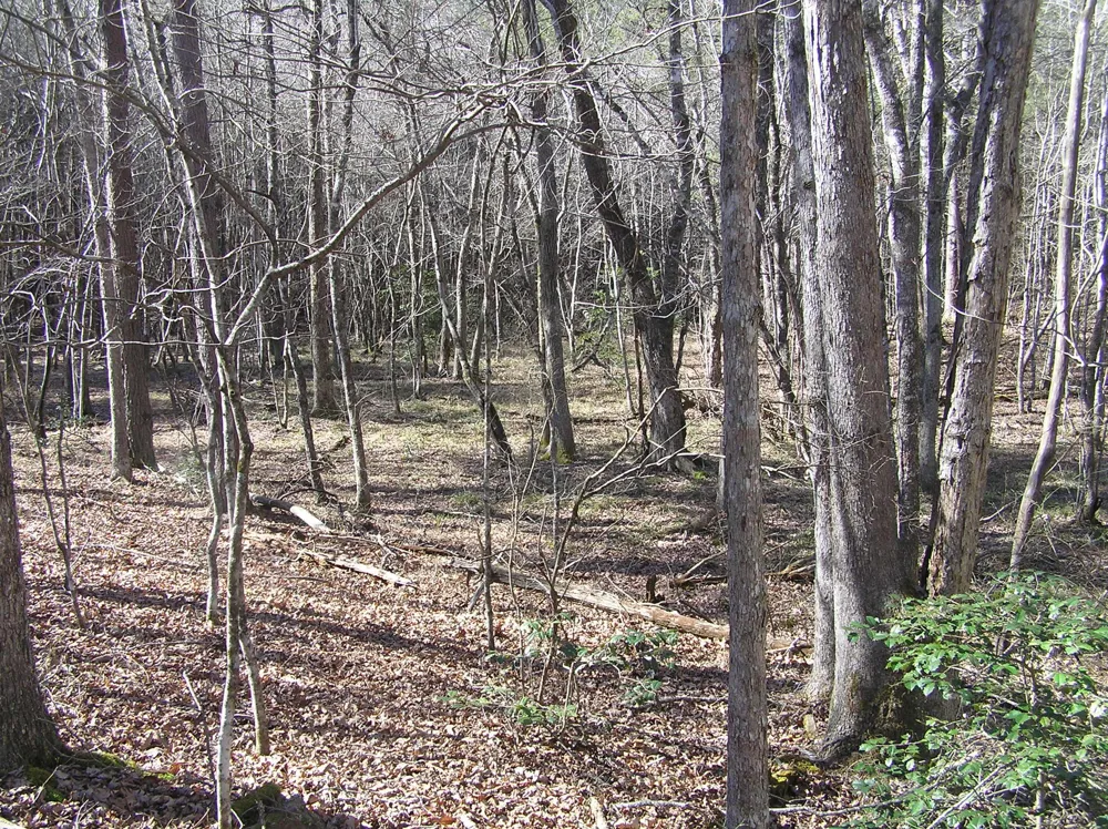 150 Indian Trail Drive Spencer, TN 38585