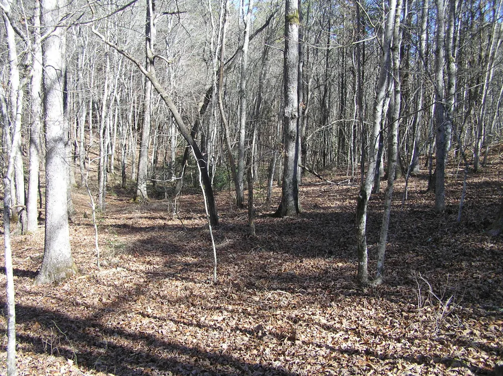 150 Indian Trail Drive Spencer, TN 38585
