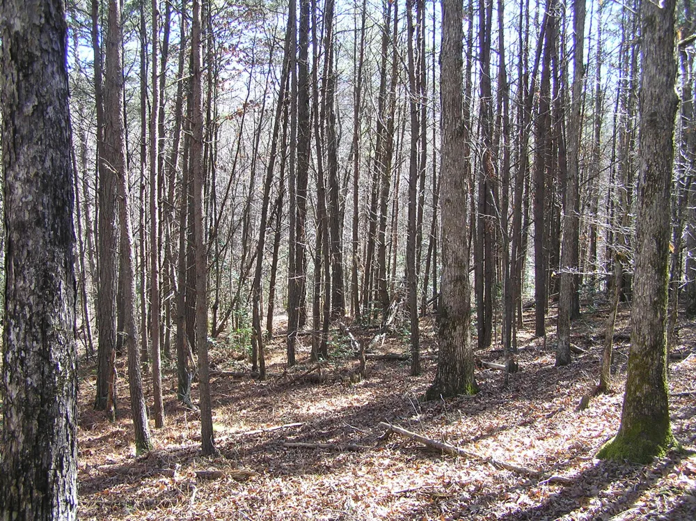 150 Indian Trail Drive Spencer, TN 38585