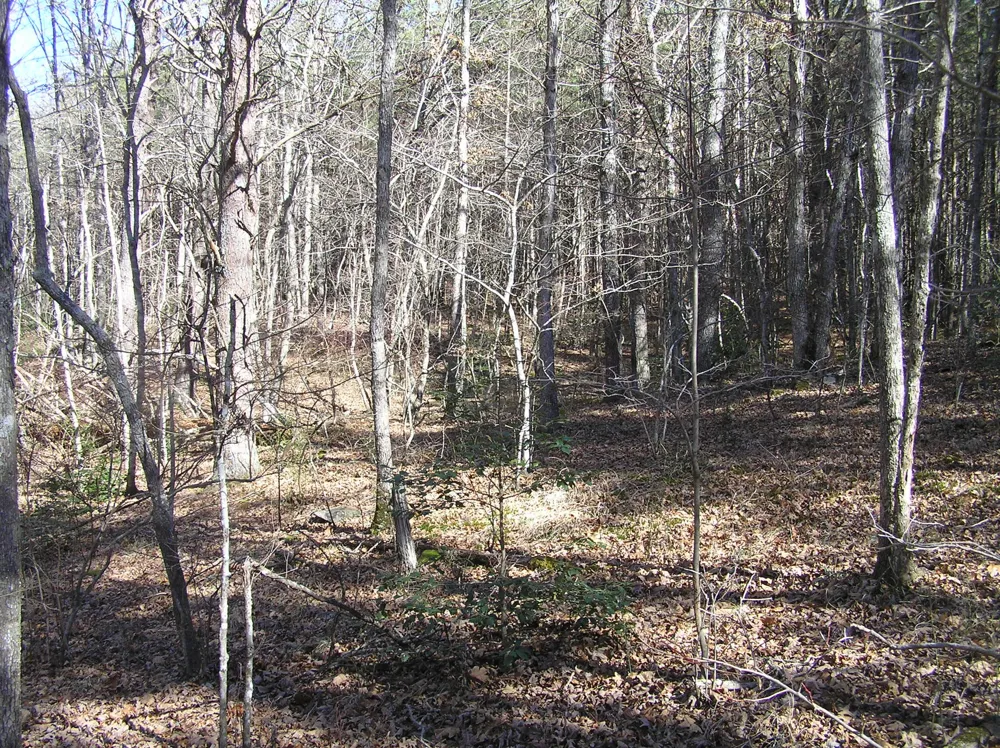 975 River Drive Spencer, TN 38585