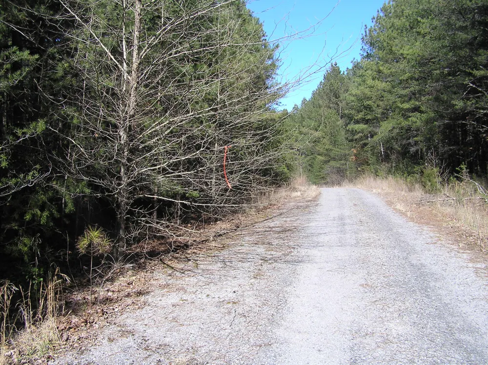 975 River Drive Spencer, TN 38585
