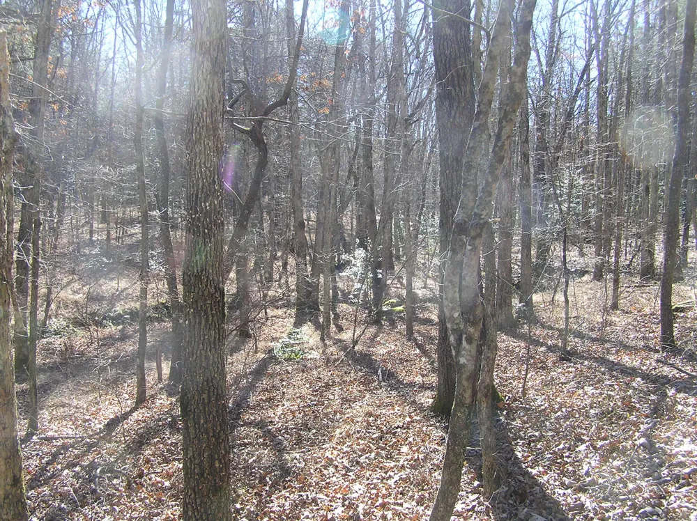 975 River Drive Spencer, TN 38585