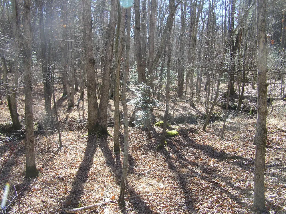 975 River Drive Spencer, TN 38585
