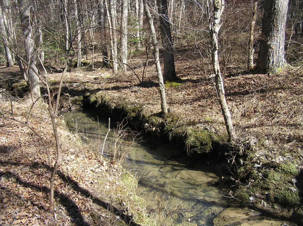 975 River Drive Spencer, TN 38585