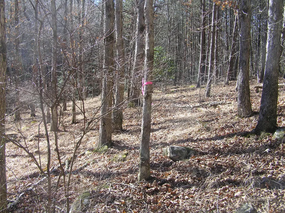 975 River Drive Spencer, TN 38585