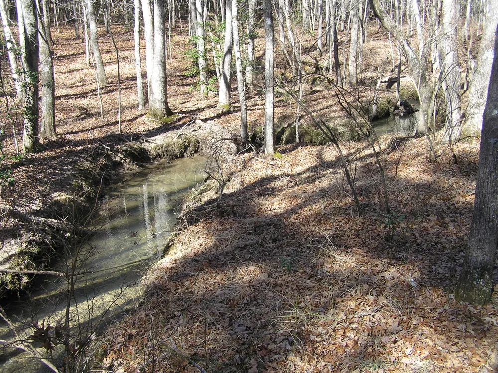 975 River Drive Spencer, TN 38585