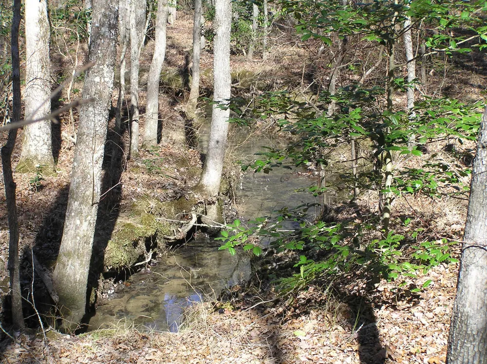 975 River Drive Spencer, TN 38585