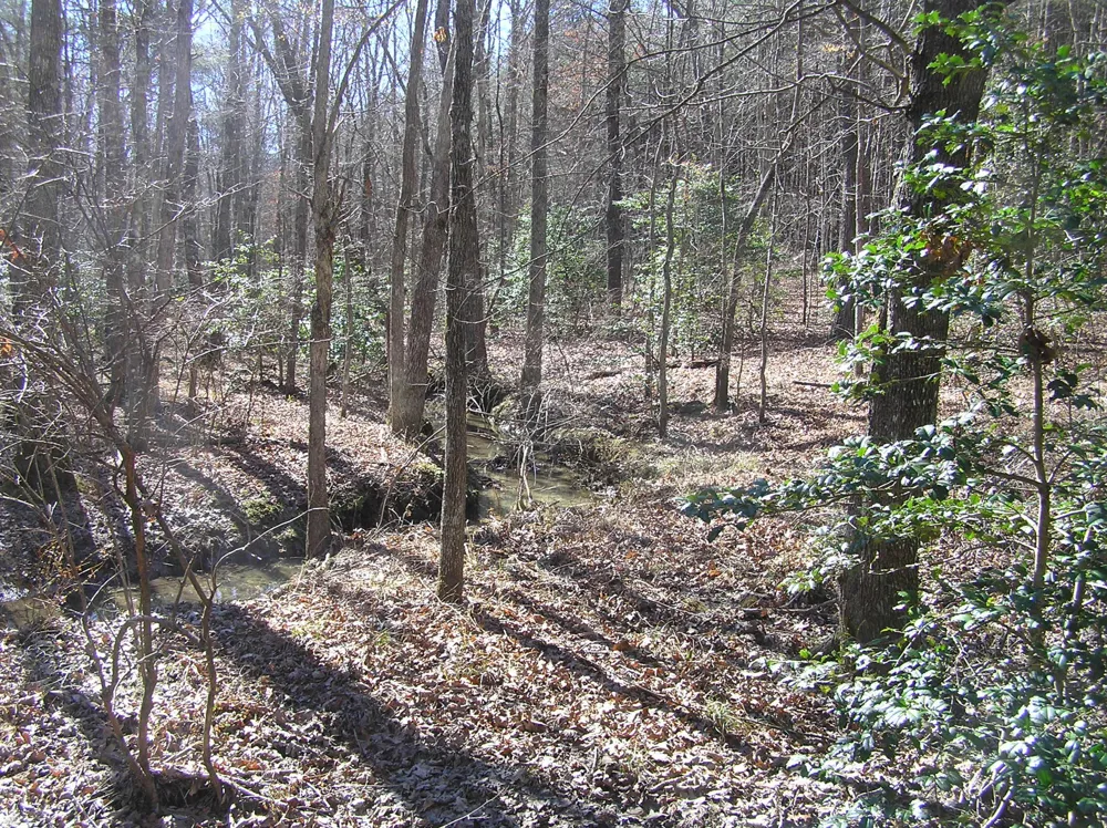 975 River Drive Spencer, TN 38585
