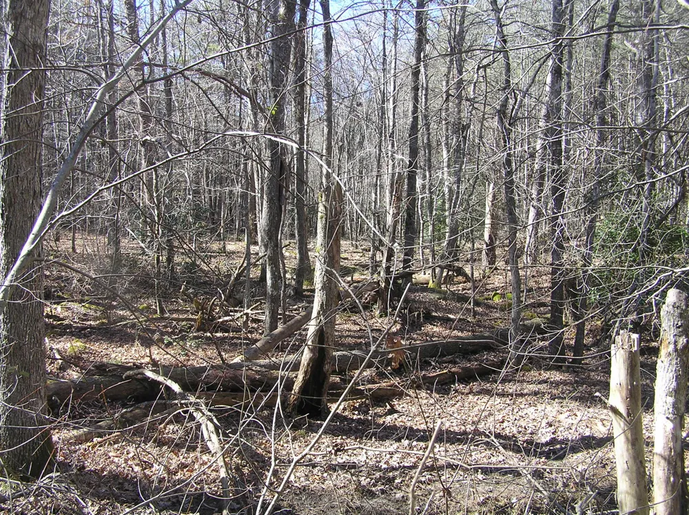 975 River Drive Spencer, TN 38585