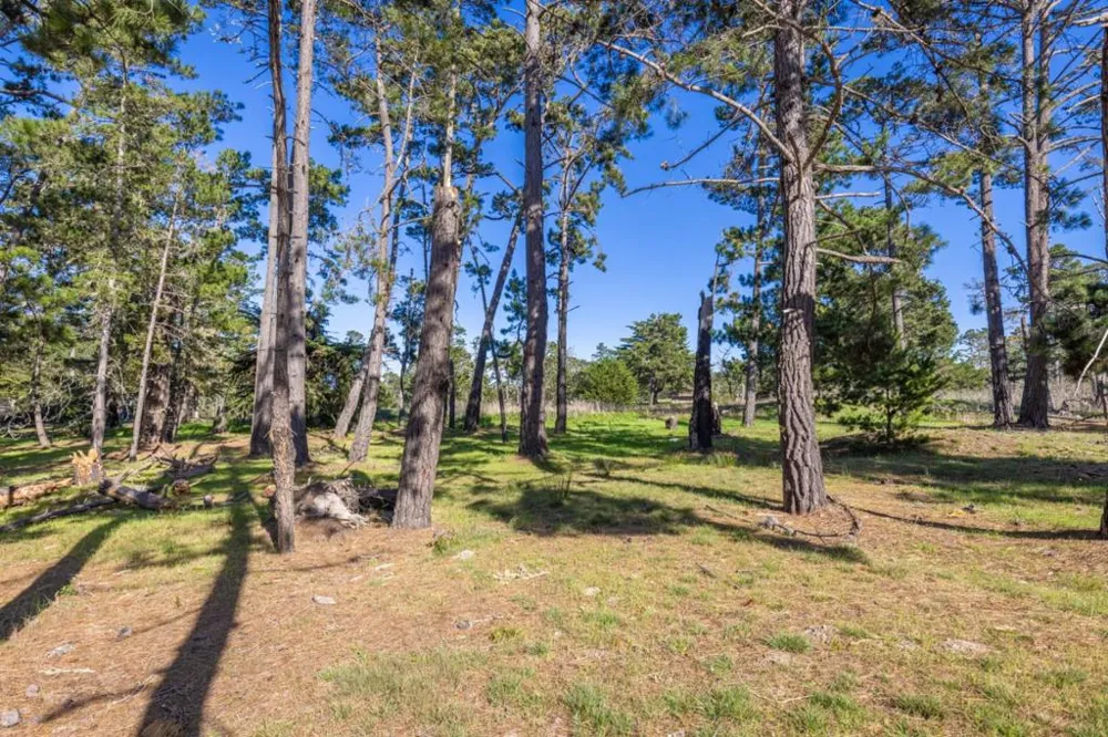1407 Viscaino Road Pebble Beach, CA 93953