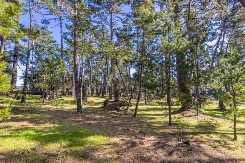 1407 Viscaino Road Pebble Beach, CA 93953